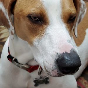 Meet your Posher, Leighton